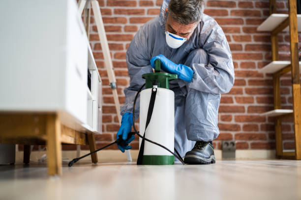 Best Fumigation Services  in Swissvale, PA